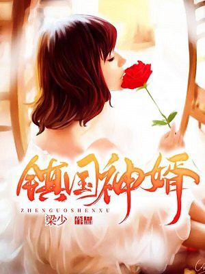 护国神婿
